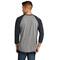 Next Level Unisex Tri-Blend 3/4-Sleeve Raglan T-Shirt